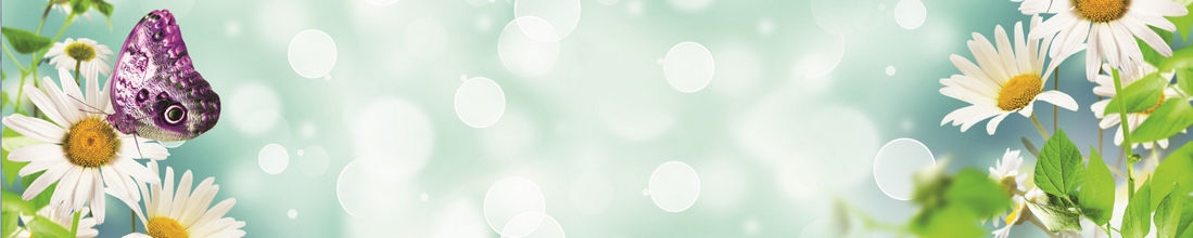 skinali 1305